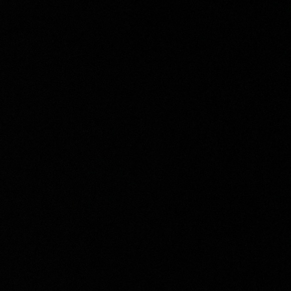 icsantiagoramos